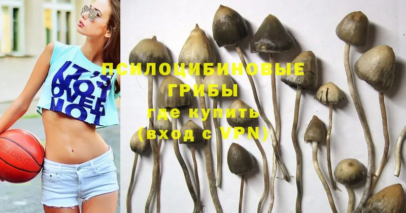 Псилоцибиновые грибы Magic Shrooms  наркотики  Заполярный 